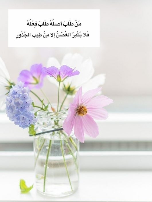 Nooraali1783865's tweet photo. https://t.co/3IiKyvmJfK