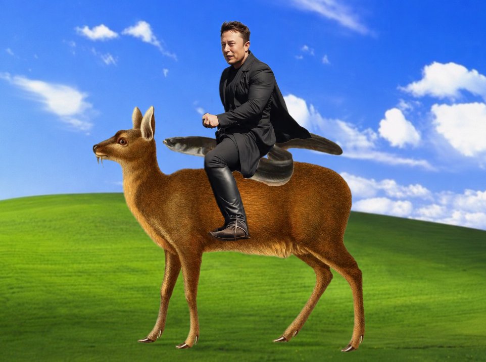 eelonmuskmeme's tweet photo. @elonmusk on Eel on Musk https://t.co/QlmTUrJkbU