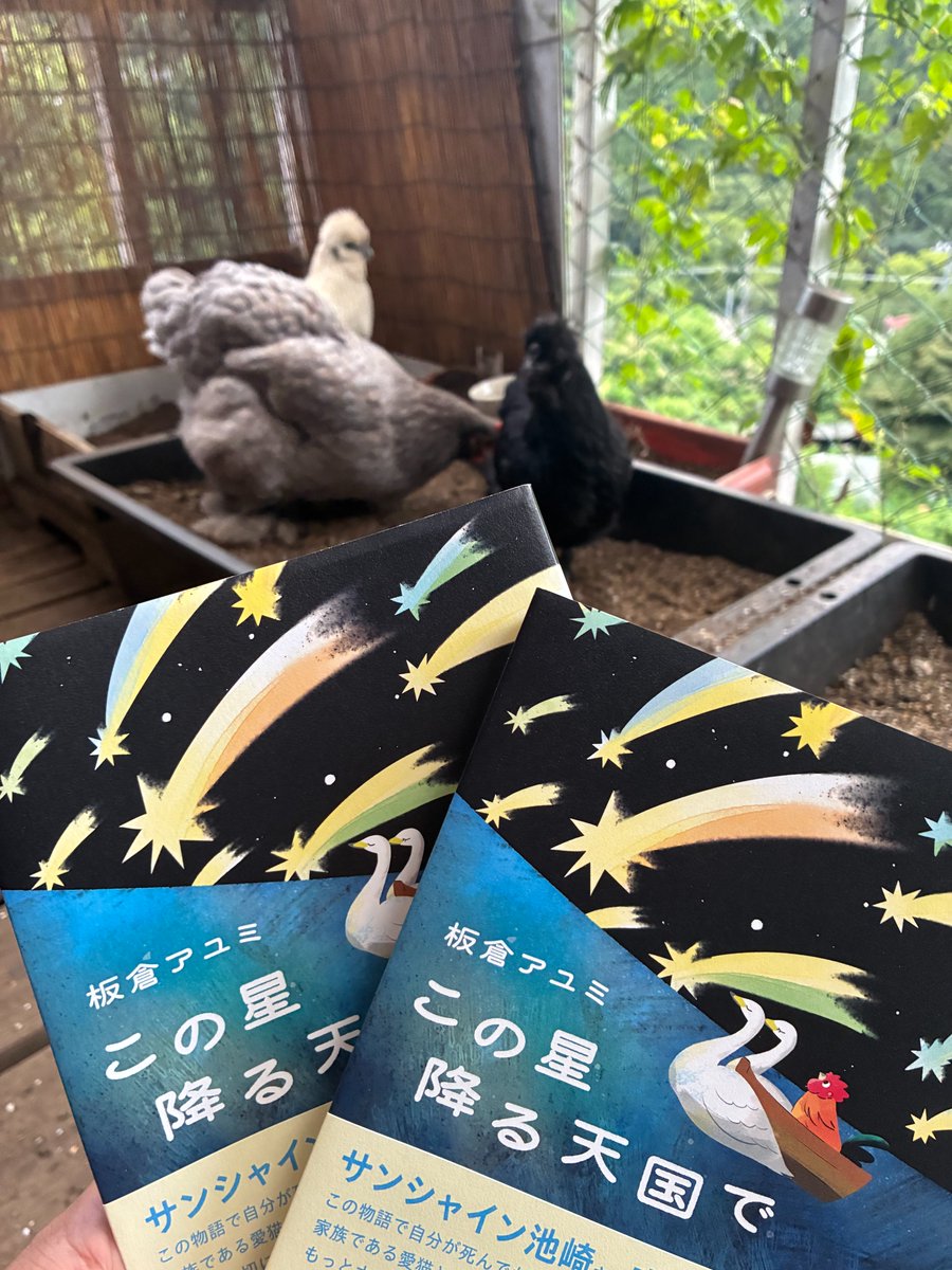 mojagamma's tweet photo. #ニワトリのいる暮らし
#にわとりのいる暮らし

一気に読破しました。
そして
号泣しながらヌシはコッコたちに言いました：
「にゃーち、くーちん、きょっち。本当にウチに来てくれてありがとうね」 https://t.co/W02HJANlZb