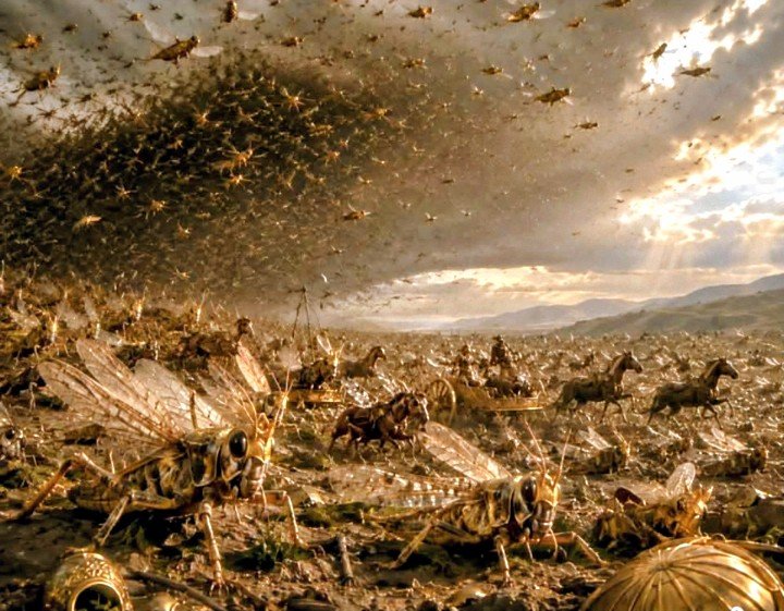Elah_Elam's tweet photo. Fifth Trumpet, The Locusts from the Bottomless Pit:

Revelation 9:1-21

1 Then the fifth angel sounded: And I saw a star fallen from heaven to the earth. To him was given the key to the bottomless pit. 2 And he opened the bottomless pit, and smoke arose out of the pit like the smoke of a great furnace. So the sun and the air were darkened because of the smoke of the pit. 

💥 3 Then out of the smoke locusts came upon the earth. And to them was given power, as the scorpions of the earth have power. 4 They were commanded not to harm the grass of the earth, or any green thing, or any tree, but only those men who do not have the seal of God on their foreheads.

5 And they were not given authority to kill them, but to torment them for five months. Their torment was like the torment of a scorpion when it strikes a man. 6 In those days men will seek death and will not find it; they will desire to die, and death will flee from them.

7 The shape of the locusts was like horses prepared for battle. On their heads were crowns of something like gold, and their faces were like the faces of men. 8 They had hair like women’s hair, and their teeth were like lions’ teeth. 9 And they had breastplates like breastplates of iron, and the sound of their wings was like the sound of chariots with many horses running into battle. 10 They had tails like scorpions, and there were stings in their tails. Their power was to hurt men five months.

11 And they had as king over them the angel of the bottomless pit, whose name in Hebrew is Abaddon, but in Greek he has the name Apollyon.

12 One woe is past. Behold, still two more woes are coming after these things.

👉 Sixth Trumpet, The Angels from the Euphrates:

13 Then the sixth angel sounded: And I heard a voice from the four horns of the golden altar which is before God, 14 saying to the sixth angel who had the trumpet, “Release the four angels who are bound at the great river Euphrates.”

15 So the four angels, who had been prepared for the hour and day and month and year, were released to kill a third of mankind.

16 Now the number of the army of the horsemen was two hundred million; I heard the number of them. 17 And thus I saw the horses in the vision: those who sat on them had breastplates of fiery red, hyacinth blue, and sulfur yellow; and the heads of the horses were like the heads of lions; and out of their mouths came fire, smoke, and brimstone.

18 By these three plagues a third of mankind was killed—by the fire and the smoke and the brimstone which came out of their mouths. 19 For their power is in their mouth and in their tails; for their tails are like serpents, having heads; and with them they do harm.

20 But the rest of mankind, who were not killed by these plagues, did not repent of the works of their hands, that they should not worship demons, and idols of gold, silver, brass, stone, and wood, which can neither see nor hear nor walk.

21 And they did not repent of their murders or their sorceries or their sexual immorality or their thefts.