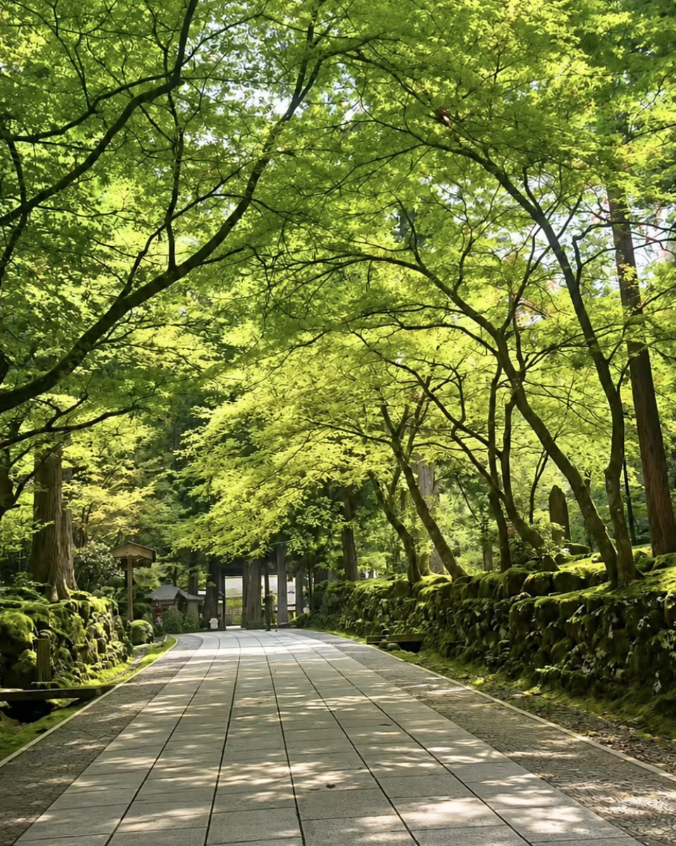 hwpwzq's tweet photo. @meme6449 くぅさんこんばんは。
いやぁ、福井県は素晴らしいですね♪
最近の真田家は
旅行シーズンのような配信になっていますね♪

自分を犠牲にして部下
への温かい配慮。

そんな経営者が今の腐った日本の企業に存在しますでしょうか？
奇跡のような会社です。
会社が繁栄するということはそういうことです。 https://t.co/N3UpTNjKQd