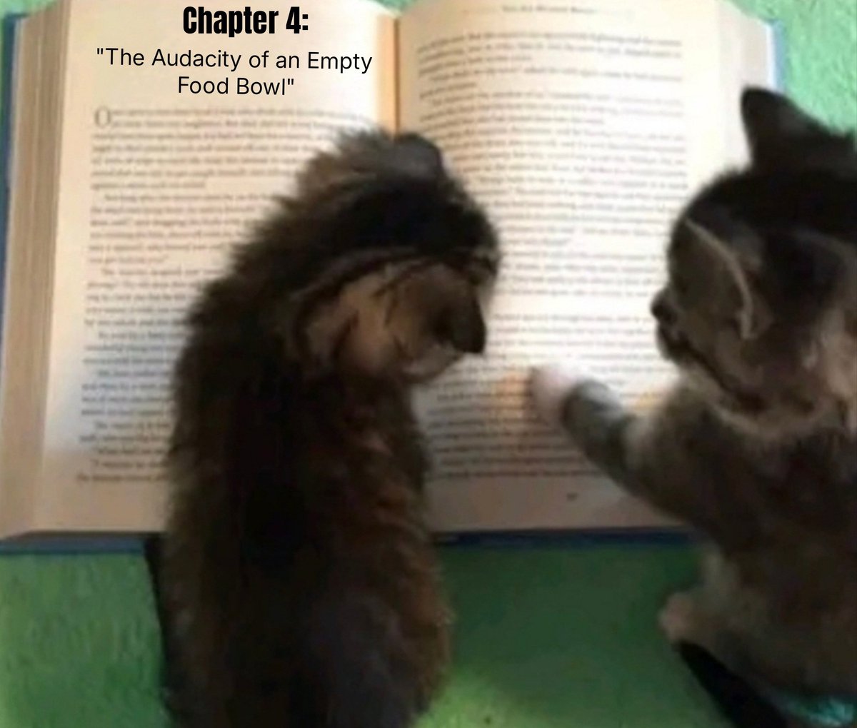 Catsillyness's tweet photo. Chapter 4 https://t.co/uL2pW12wSH