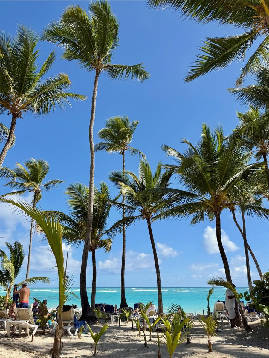 RiuHoteles's tweet photo. 🙋 ¡Levanta la mano si vas a viajar a Punta Cana este verano! https://t.co/aygjZbSUNZ Aquí tienes un adelanto de cómo podrían ser tus días en el Hotel Riu Palace Bavaro 🏖️

📸: cd.elena (IG)

#RiuPalaceBavaro https://t.co/dMXRpRJ1tB