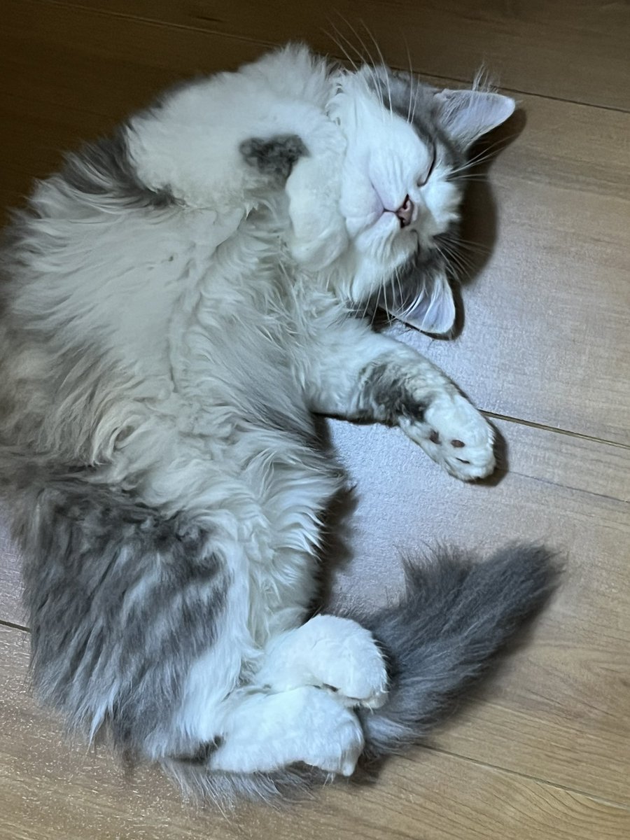 0DvaAcxe7E99hKN's tweet photo. 家賃を一円も払っていない人の態度② https://t.co/66mvZEXjv7