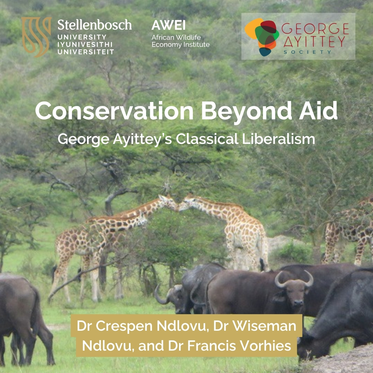 WildlifeEconomy's tweet photo. What if people conserved wildlife in Africa because they held secure rights to it, not because a donor paid them to?

A new AWEI article on classical liberal conservation explores this question.

https://t.co/ezBnsMXCzm
#WildlifeEconomy #Conservation https://t.co/z1UsaSYYzQ