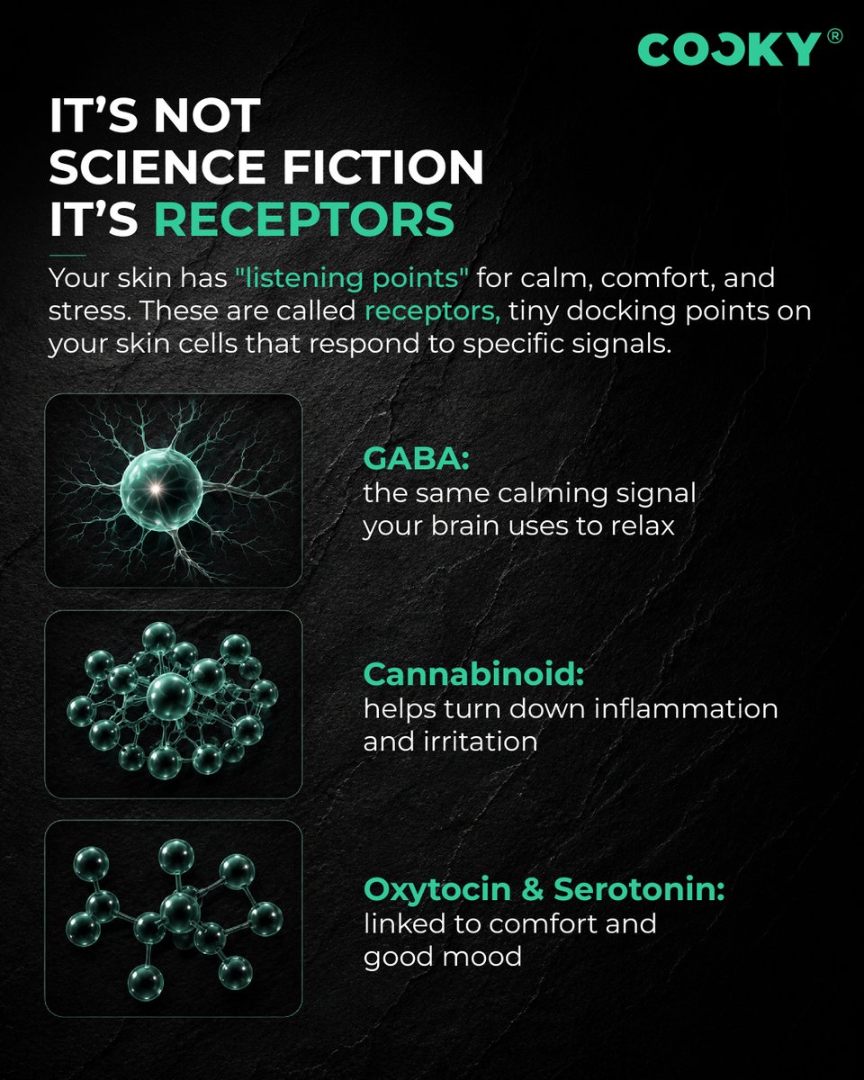 thecockylife_'s tweet photo. Your skin is connected to your brain.
That's the idea behind neurocosmetics. Skincare that goes beyond the surface and works with the skin-brain connection.
Swipe to see why it matters.
#Cocky #CockyLife #StayCocky #NaughtyInside #TheOne #Neurocosmetics #SkinBrainConnection https://t.co/pfFZeFaxPj