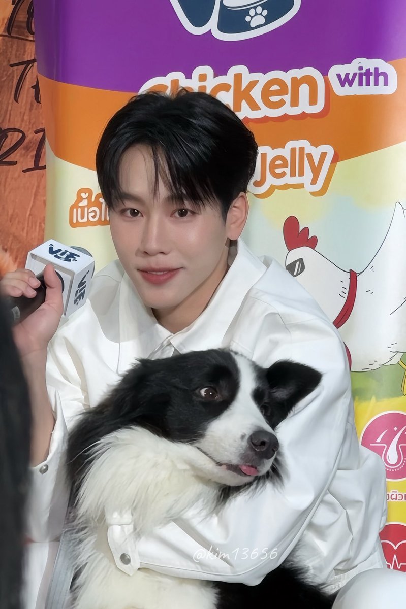 KiM13656's tweet photo. ไม่มูฟออนนนน น่ารักใจเหลว🥺🤏🏻🍀🐾

✨✨✨✨✨✨
#VIFxYWZSPetexpo 
#warwanarat #sammerbcolie https://t.co/AlZlV2uTRD
