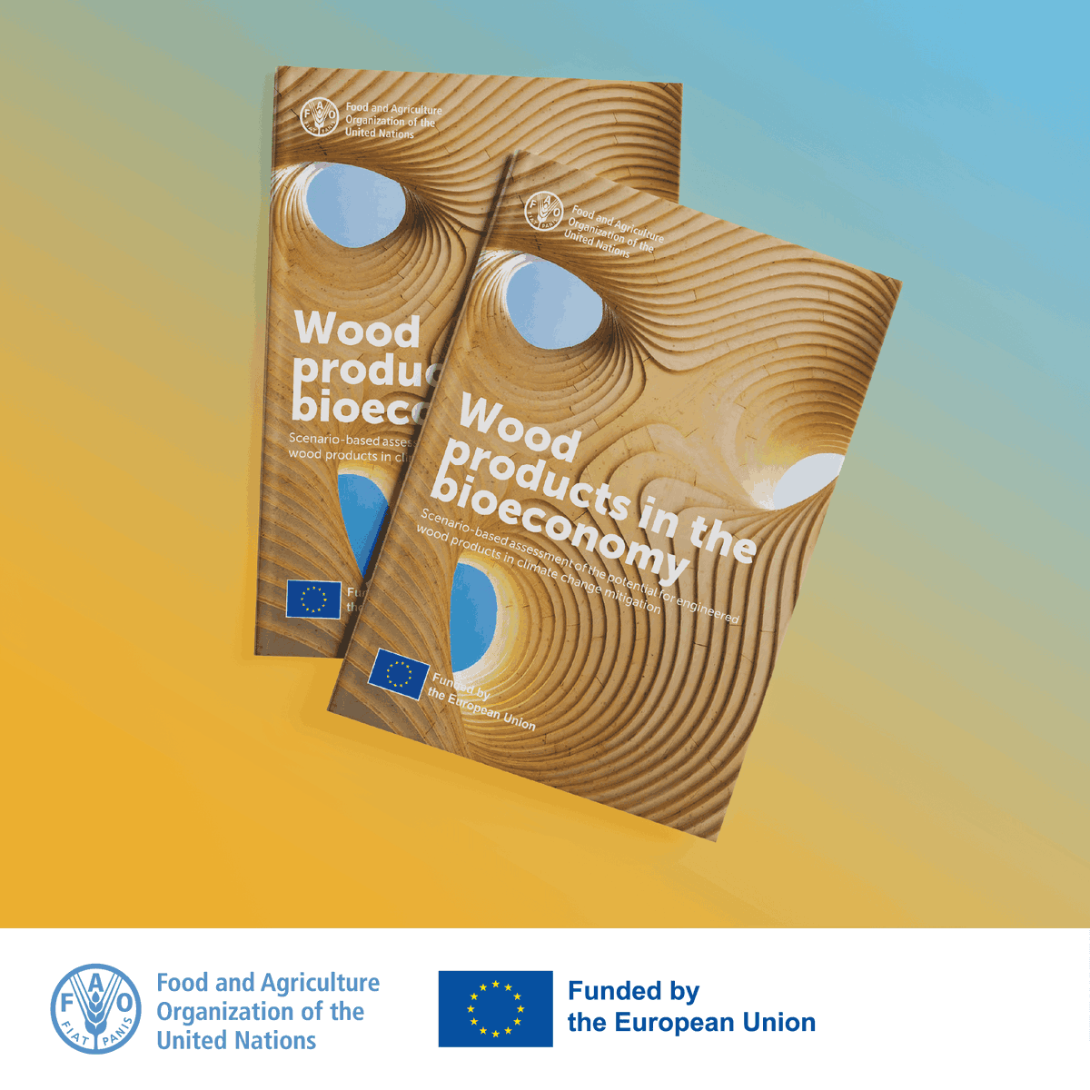 FAOForestry's tweet photo. What if buildings could help fight climate change instead of fuel it?

Discover how in a @FAO &amp; @BauhausEarth report

Wood products in the bioeconomy: Scenario-based assessment of the potential for engineered wood products in climate change mitigation

 👉 https://t.co/412tafxoP0 https://t.co/4tZrVfHwhx