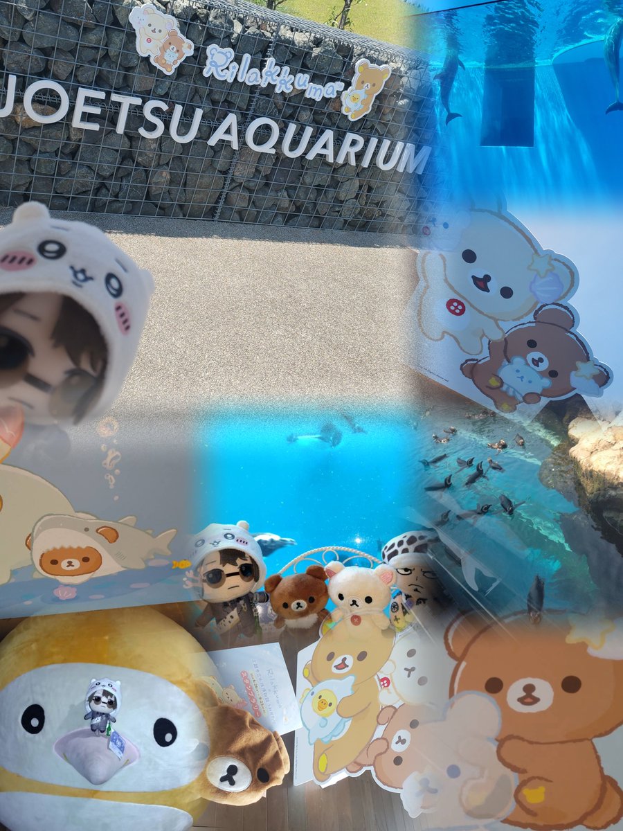 mdk_nkn's tweet photo. 旅行のみをあんまりしないから新鮮でした🥳川も海も行ったから夏終わり🥳 https://t.co/rkZIF5b5QU