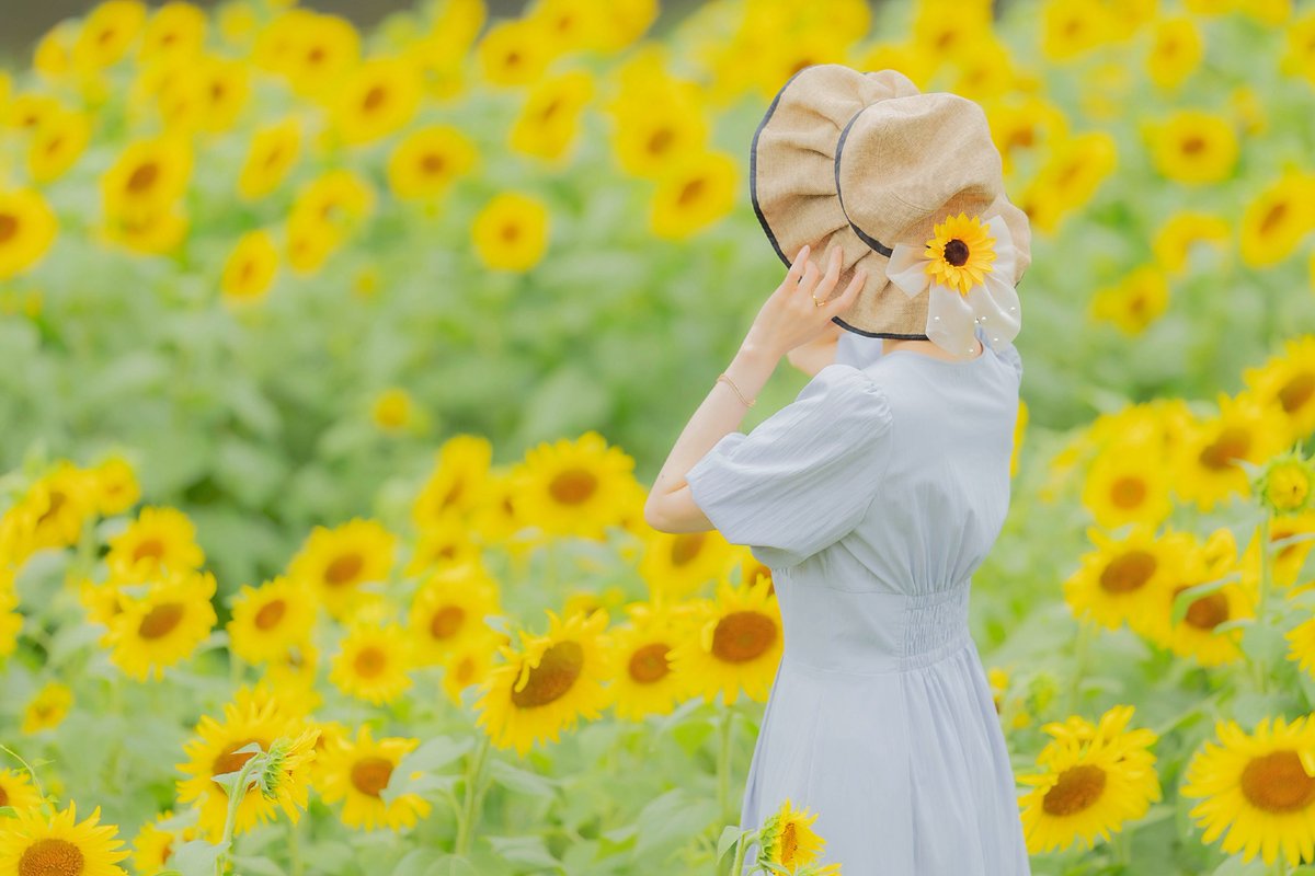 Sayak_Ariel's tweet photo. 𝕤𝕦𝕞𝕞𝕖𝕣 𝕡𝕠𝕣𝕥𝕣𝕒𝕚𝕥 🌻

#portrait
#ポトレ

夏生まれなので、ひまわりは大好きな花✨️ https://t.co/LXnBMcs9ME