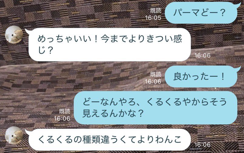 dog_rabbit15's tweet photo. 🌀🌀 https://t.co/nOyXRD6x37