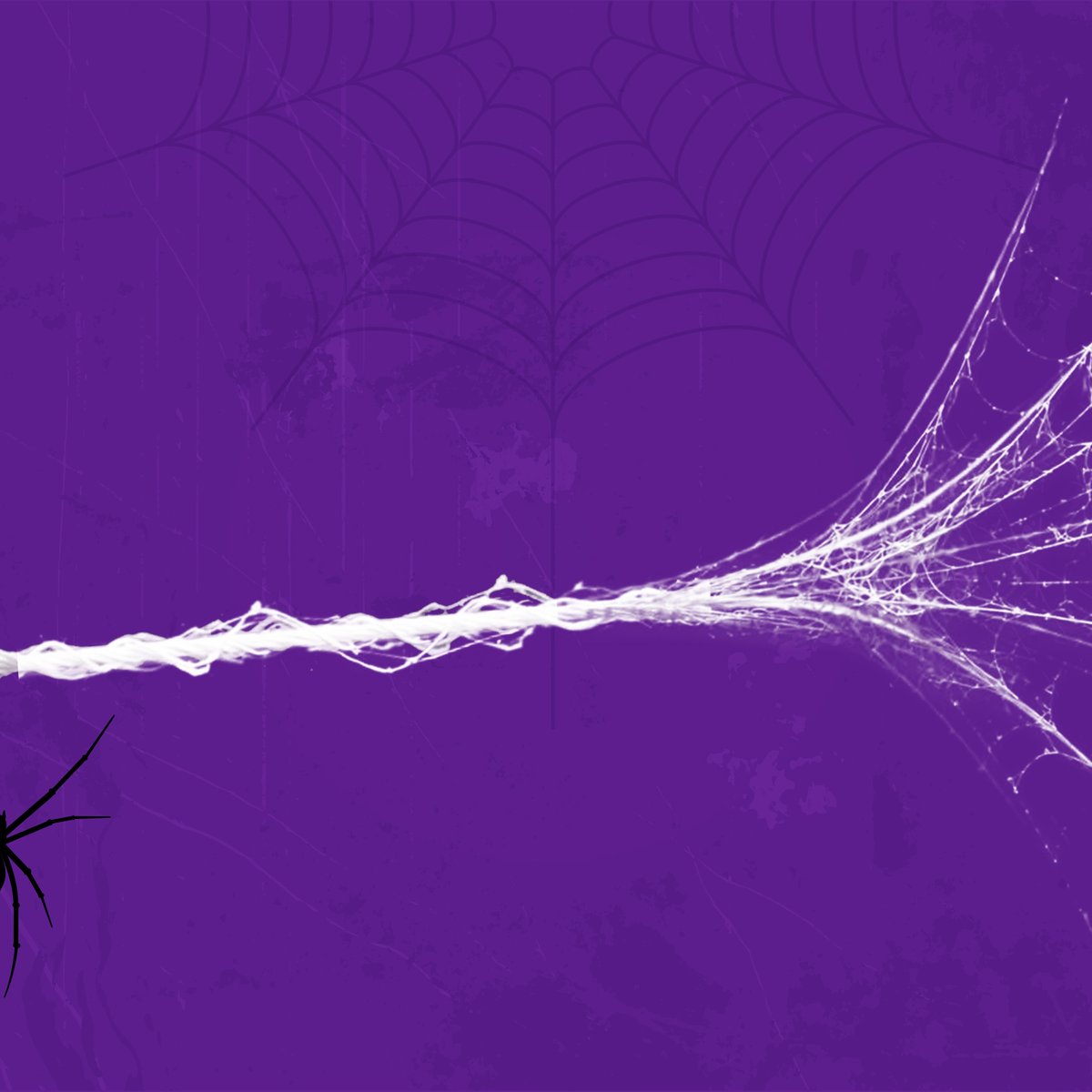 edmo_tech's tweet photo. Spidey is fast; EDMO is faster! 🕸️🕷️💜

#Spiderman @SpiderMan @spideyupdated #EDMO #Admission #AIinAdmissions https://t.co/x2t0RP3QB8
