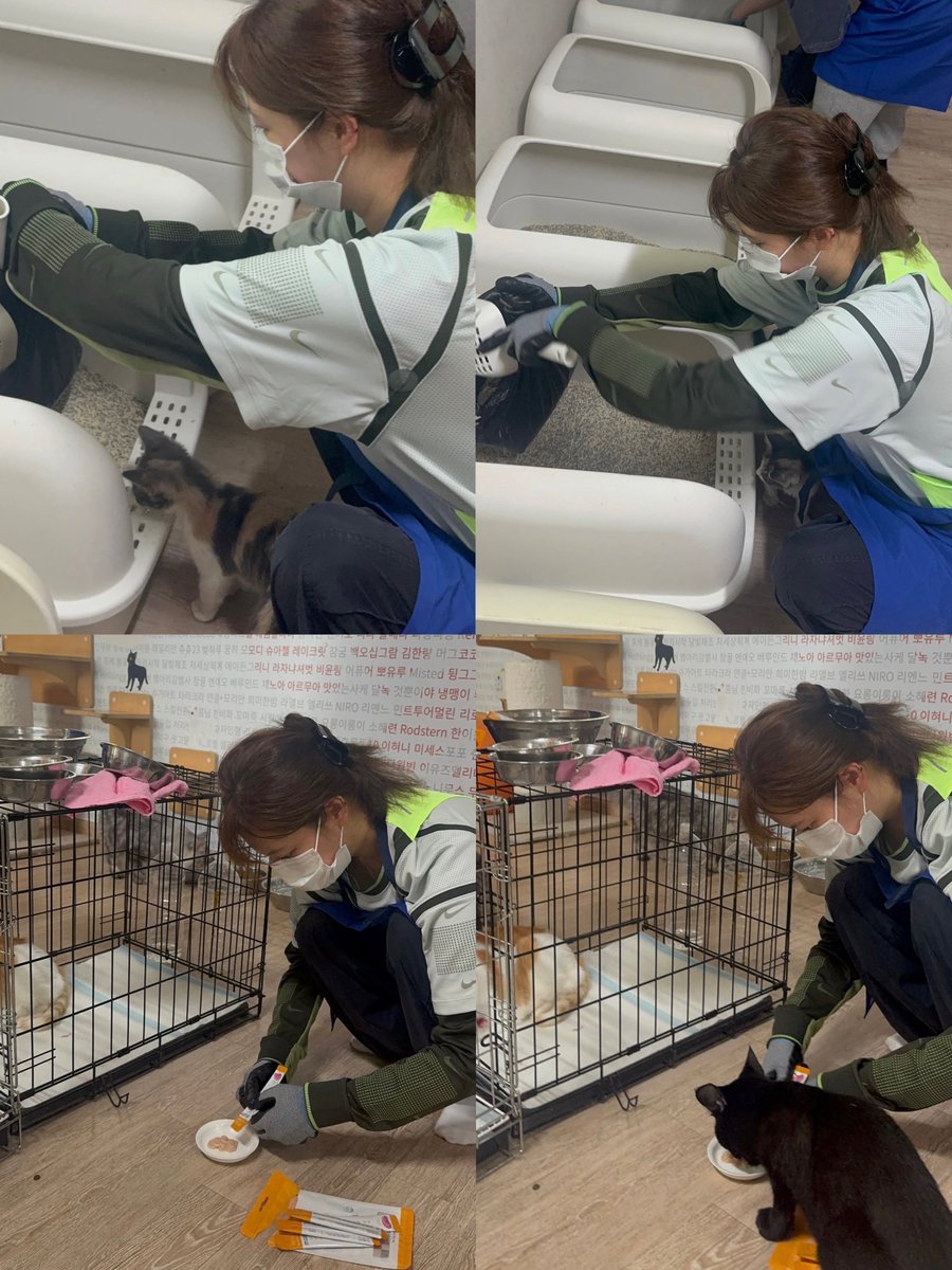 juiceyeon's tweet photo. real life angel 🥺 even when jeongyeon was still overseas for the tour, she contacted ansung animal care on what the puppies and kittens need and organized the sponsorship with pethroom personally. after the tour, she went to volunteer and give her own donation to the shelter 🥺 https://t.co/LbvxeCdyvh