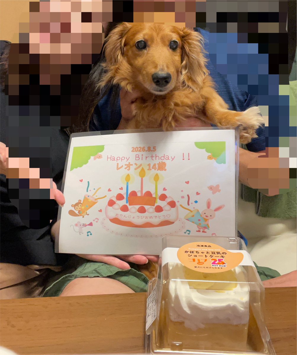 LEON_201285's tweet photo. きょうは【たんじょうび】ってやつだったよ
よく分からないけど、うまうまケーキをちょこっとだけ食べたんだ‼︎
いっぱい食べるとげぇーするから残りは明日だって‼︎
あしたも【たんじょうび】ってやつなのかなぁ？？

happy birthday レオン❤︎ https://t.co/iJdcNNQtZr