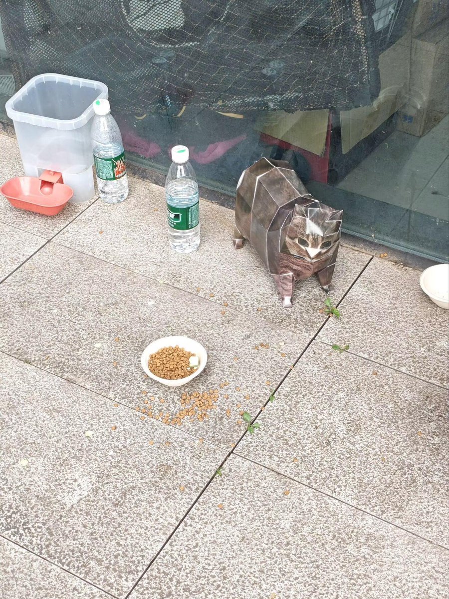 nocontextscats's tweet photo. OIIIA? https://t.co/Lo18Ykvi3i