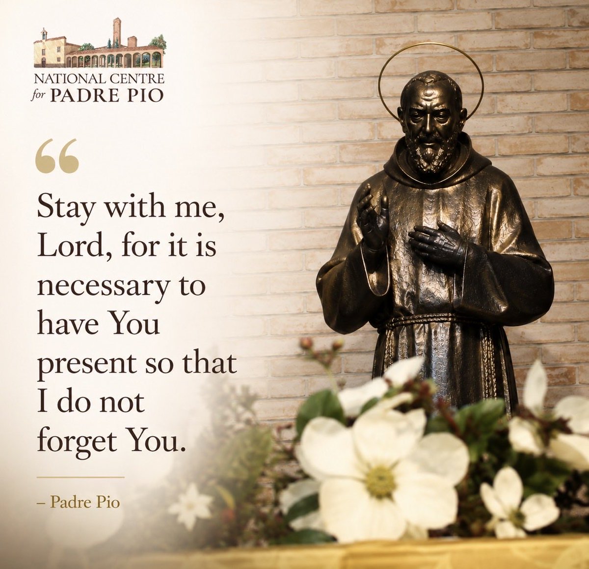 PadrePioInc tweet picture