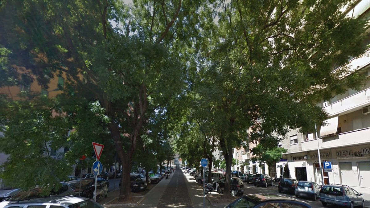 MMmarco0's tweet photo. Salve signor sindaco, domanda molto semplice: il "rifugio fito-climatico" con pergolato e 4 alberi serve a compensare Viale Furio Camillo trasformato in pista d’atterraggio per lucertole?

Il nome è bellissimo, niente da dire. "Rifugio fito-climatico" sembra una missione della NASA con fotosintesi incorporata. Taglio del nastro, comunicato, foto, sorrisi poi però esci dall’inaugurazione, giri l’angolo e trovi strade dove gli alberi veri, quelli adulti, quelli che facevano ombra davvero, sono spariti come in un numero di magia urbana. E allora viene un dubbio: stiamo facendo adattamento climatico o teatro botanico?

Il caldo urbano non si combatte battezzando un pergolato con un nome da convegno internazionale. Si combatte salvando alberature mature, aumentando ombra reale, togliendo cemento inutile e impedendo che le strade diventino corridoi roventi. Se da una parte inauguriamo 4 alberi con la fanfara e dall’altra togliamo quelli che già proteggevano una strada intera, non è transizione ecologica, è greenwashing con la pergola.
