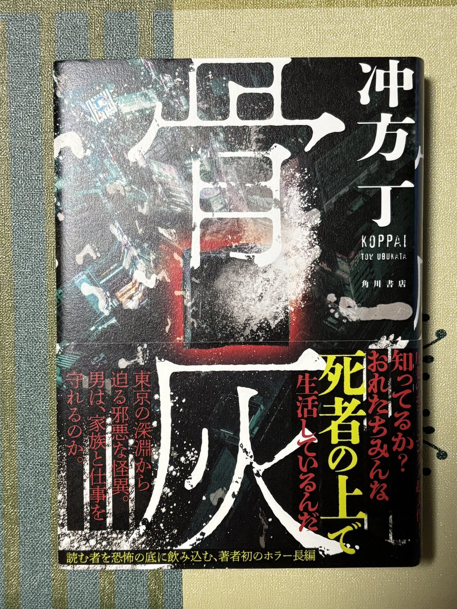 aaoouuo's tweet photo. #今日買った・届いた本を紹介する

『骨灰』沖方丁

フォロワーさんからのオススメで購入しました！
重厚なストーリーとテンポの良さ、テーマへの興味で琴線に触れた。
楽しみに読みます！！ https://t.co/8S2e9IP6K3