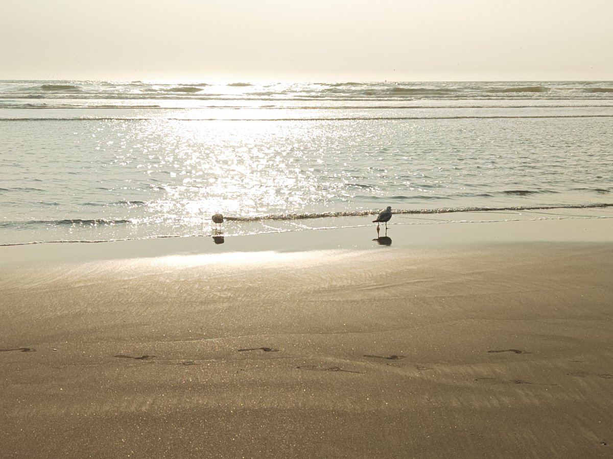 2000wonderer's tweet photo. Hiked the beach. I did short alternate on the road to hit a store when I passed here. Redo the short section was fun, and Oregon Coast was fun!  See you, till we meet again.
ビーチを歩きました。ココを通過した時、買い物のため道路を歩いたところ。オレゴンコースト、楽しかった！また！ https://t.co/UYn40VLJjK