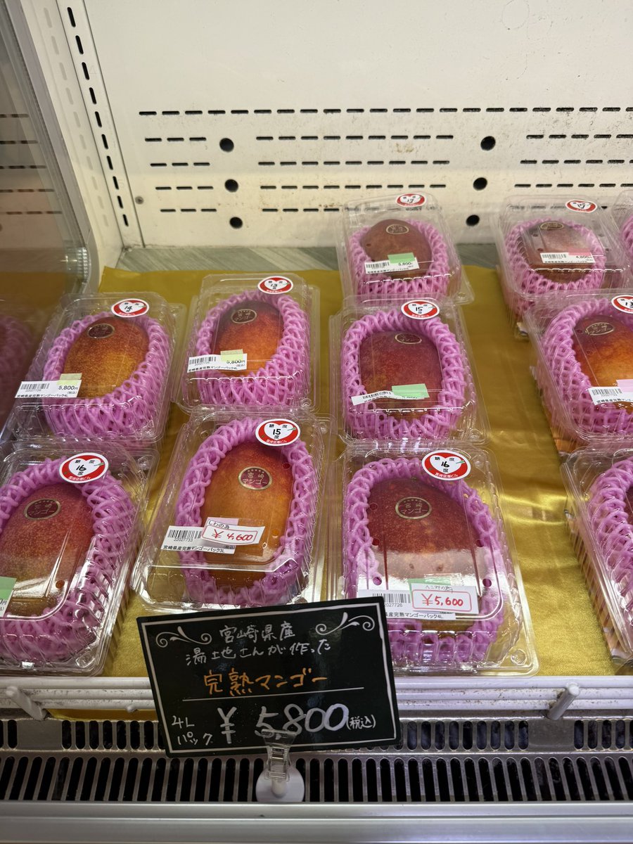 yokotin99's tweet photo. 宮崎に帰省してましたー
やばい楽しかったー…疲れた
中高の時に使ってたバスワンが甥っ子に渡って釣りをするみたいでなんか良かった。 https://t.co/FaDqyr6EXl
