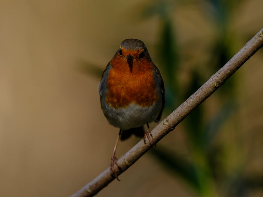 TheodoreMa96218's tweet photo. النجاح هو نتيجة التي هو مستقبلك مع تفانيك. النجاح جهودك لا هوادة فيها. tristan mentnech🙁 https://t.co/6fvrAjzNck