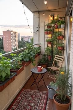 shavnyuyngah's tweet photo. 1. Balcony renters:

 • Rail planters: clip-on boxes for lettuce, spinach, arugula. South-facing rail gets you 6+ hours of sun. https://t.co/RUjRZJRRjH