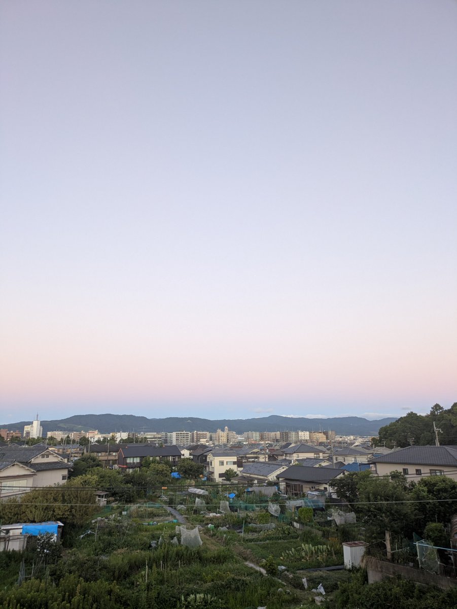 hennara5's tweet photo. 夕方散歩 2026.8.5
#散歩
#アライグマ https://t.co/l1frfYfL5s