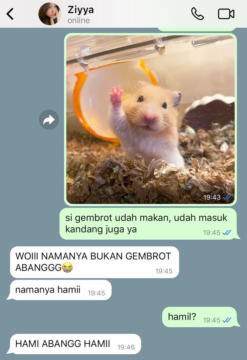 miyysteu's tweet photo. 05. Gembrot sudah makan https://t.co/3tFtew2qfy