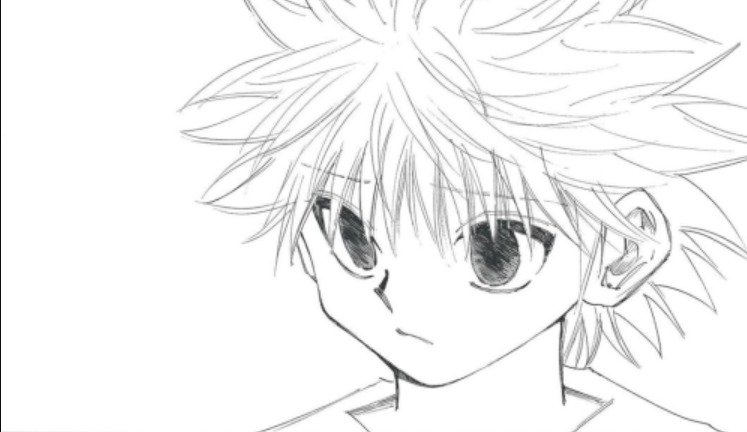 nanowobzz's tweet photo. chimera ant arc killua is such a sensitive topic for me https://t.co/mlBRPOtQiu