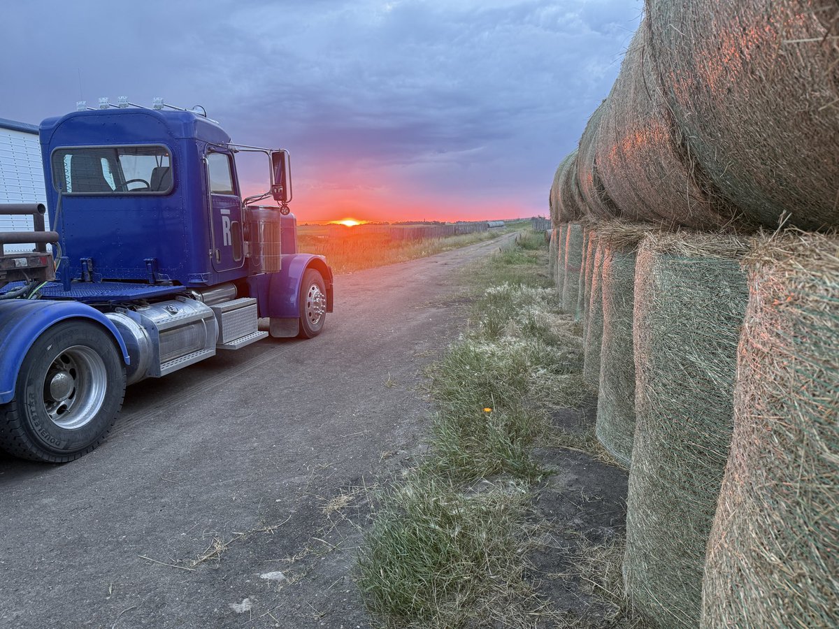 QuickDickMcDick's tweet photo. Today shall be a congregating of bales after which none shall remain in the field.
#HeyBlueball https://t.co/dL9p0OZ7K8