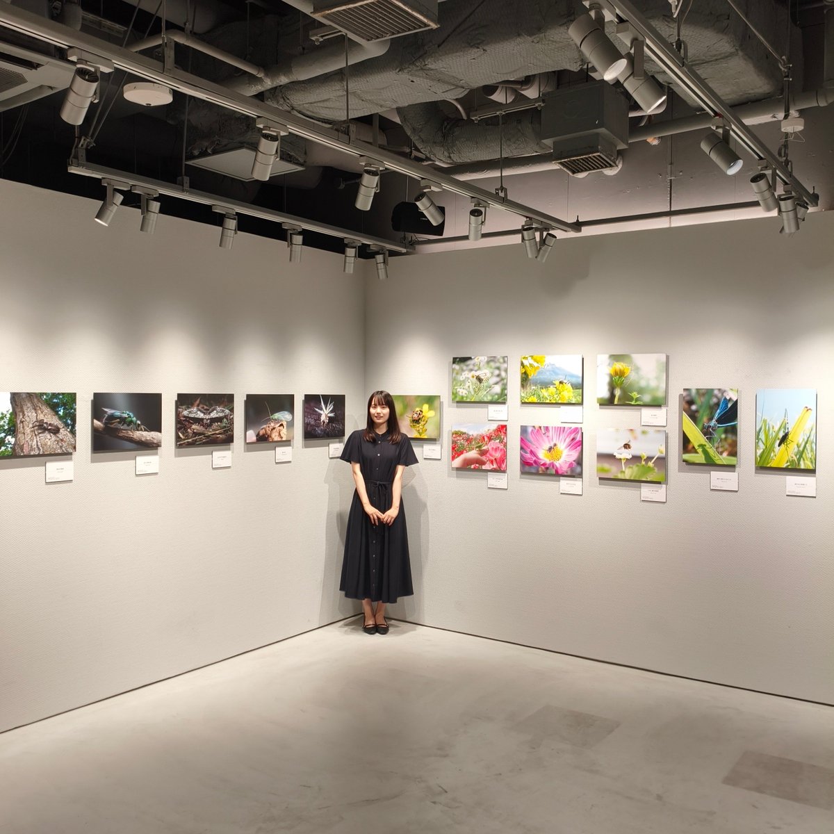 piyo_bug's tweet photo. 写真展「愛しき虫たち」開催中です！

展示作品は会場にてご購入いただけます。会期終了後、裏に直筆サインを書いてお送りします️✒️
ぜひお気に入りの写真をお迎えください！

新宿 北村写真機店にて、8/16まで。
(入場料無料)⁡
#愛しき虫たち #北村写真機店 https://t.co/Y3VQ70ryNQ