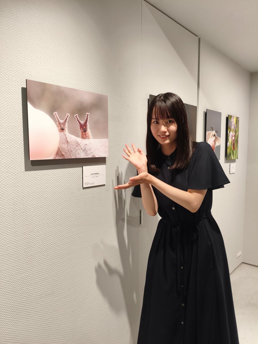 piyo_bug's tweet photo. 写真展「愛しき虫たち」開催中です！

展示作品は会場にてご購入いただけます。会期終了後、裏に直筆サインを書いてお送りします️✒️
ぜひお気に入りの写真をお迎えください！

新宿 北村写真機店にて、8/16まで。
(入場料無料)⁡
#愛しき虫たち #北村写真機店 https://t.co/Y3VQ70ryNQ