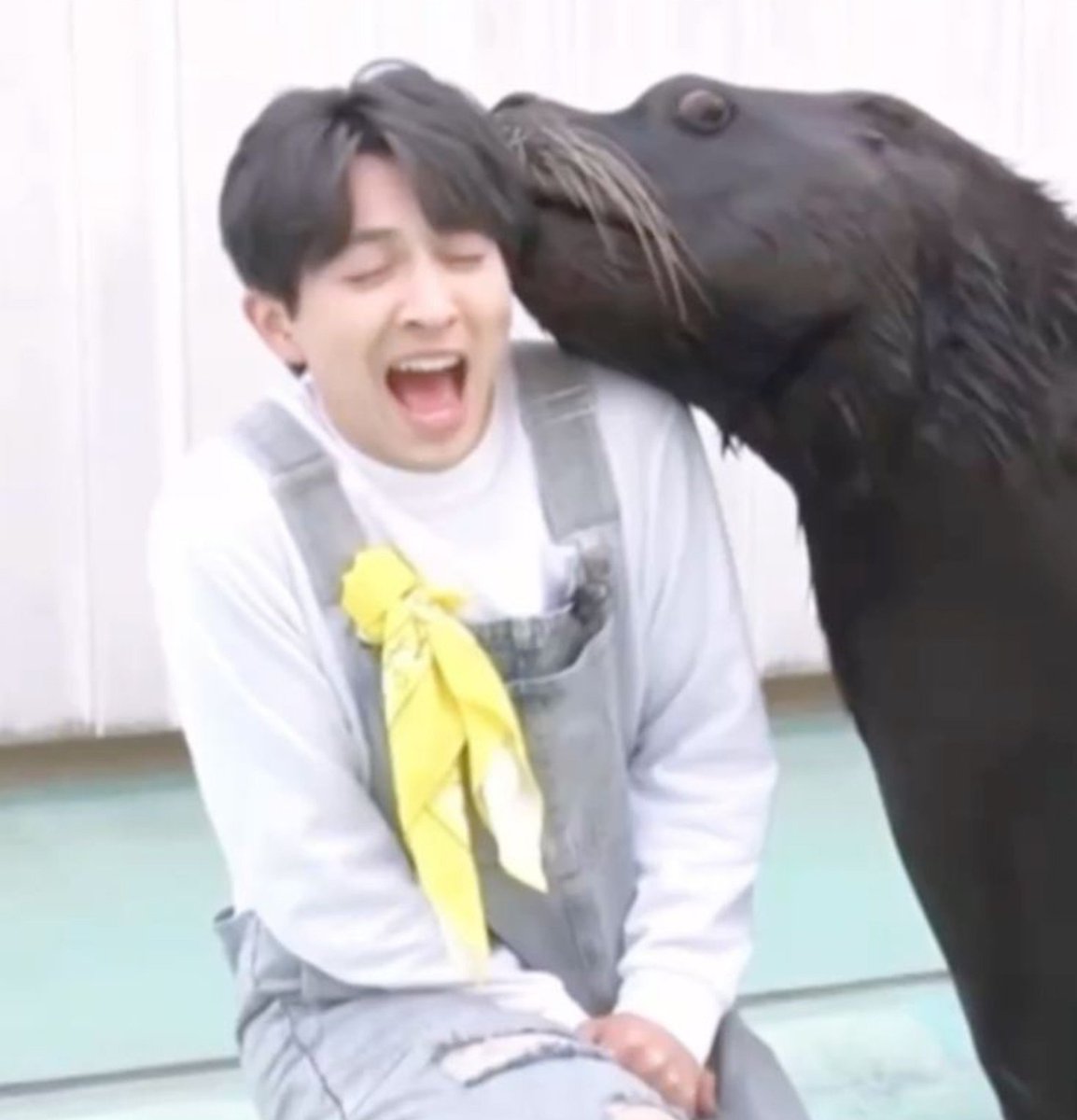 harutanng's tweet photo. 놀랐햄 https://t.co/Gc4O9D5R09