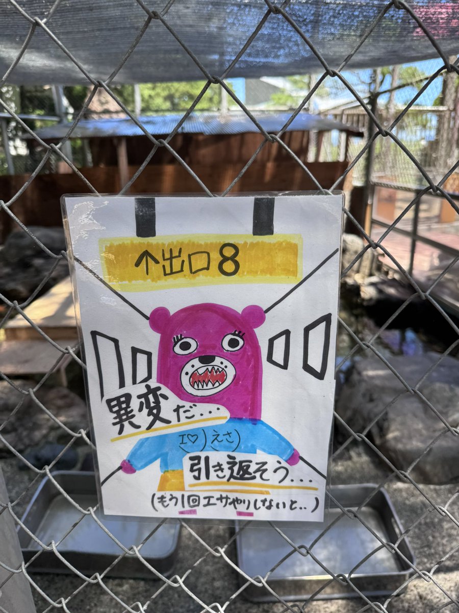 manziyanen's tweet photo. 桂浜水族館は餌やり(アジ1匹100円)の反応も良かったので結構課金してしまった https://t.co/bydAHXVeQP