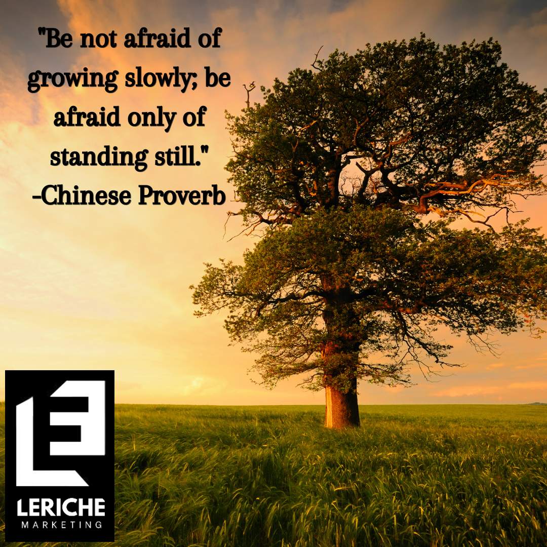 LeRicheIndustry's tweet photo. "Be not afraid of growing slowly; be afraid only of standing still." - Chinese Proverb #Resistance #Growth #Iwillnotbeafraid #Move #OneStepAtATime #QOTD https://t.co/T1pW1CaER9