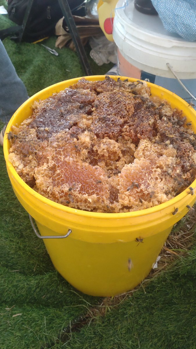 CLEMENTMAN73752's tweet photo. Pure honey is available at affordable price.

Price equals quality..

Tel: +250724499251 https://t.co/pp9r4t8WY9