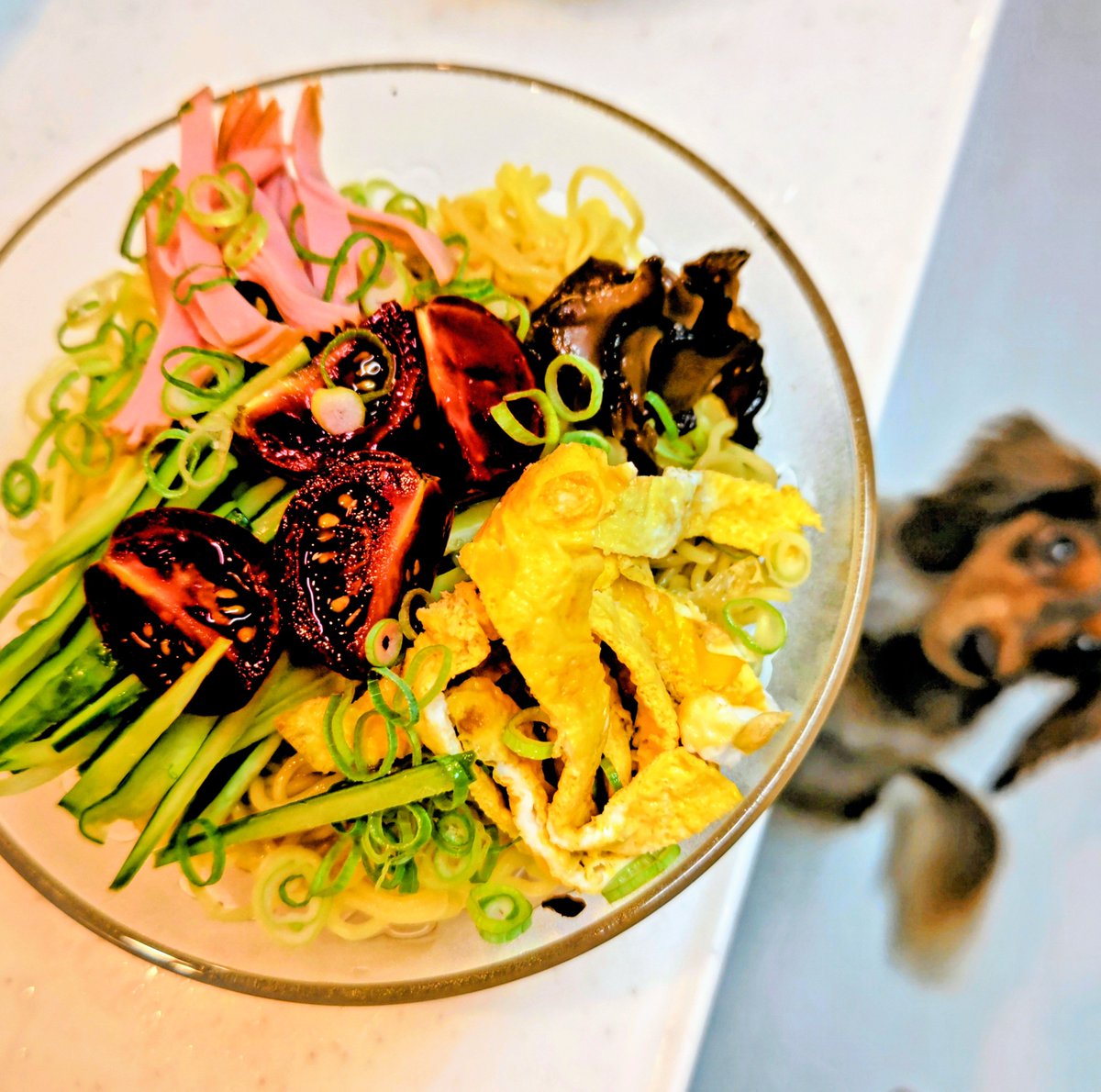 kinukoshifudou's tweet photo. 今夜は冷やし中華にしました https://t.co/bBiIjRikac