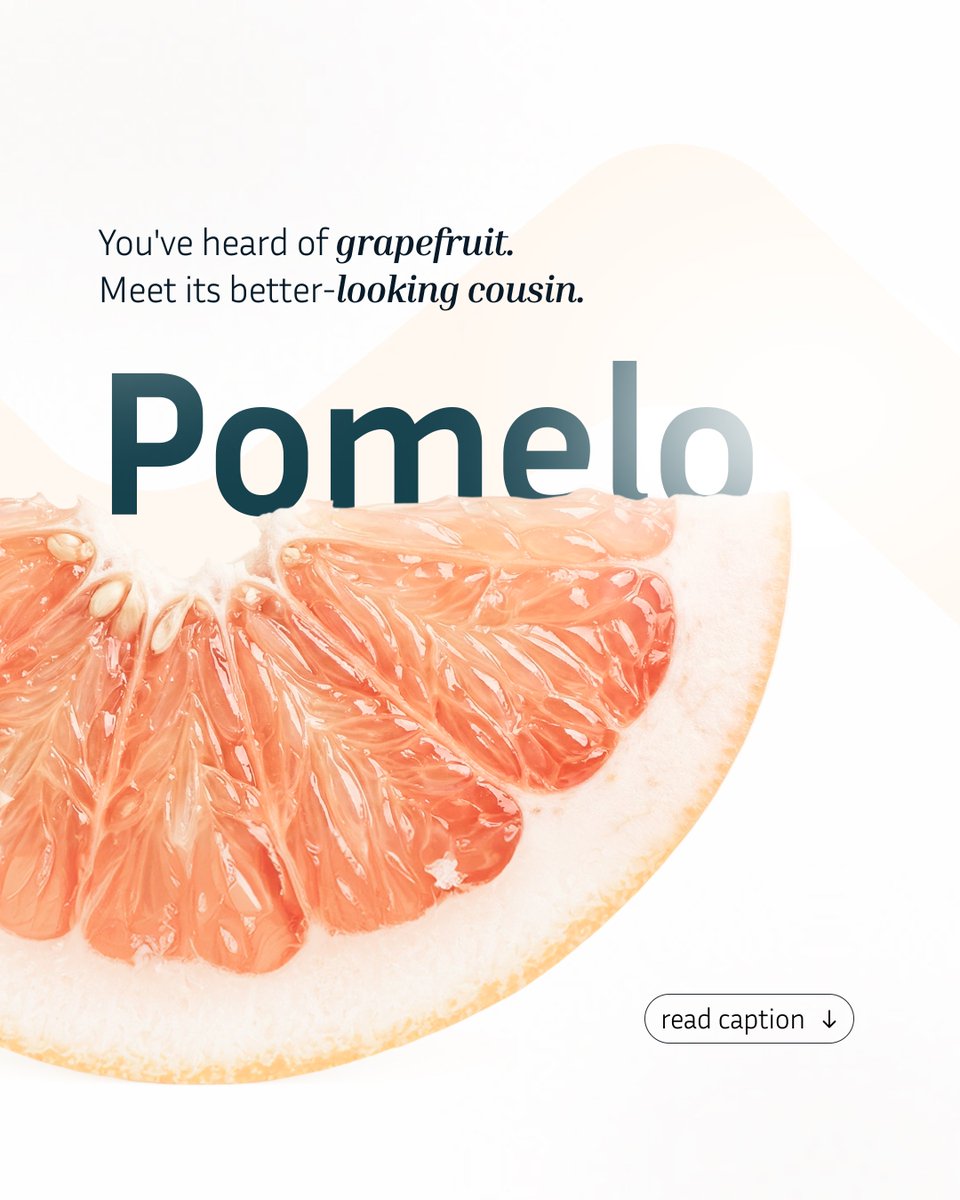 MetaGOhealth's tweet photo. Pomelo is the largest citrus fruit and an underrated choice for weight management. 🍊

~600g peeled pomelo = ~230 calories, with fibre, protein, Vitamin C, potassium &amp; antioxidants.
Not a “superfood” just a really good fruit that deserves more attention. https://t.co/KiWVk9NI15