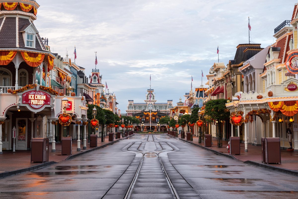 DisneyParks's tweet photo. It's a boo-tiful morning 👻 Halloween decor has started to materialize at @WaltDisneyWorld 🎃 https://t.co/25Dnuvgpnm