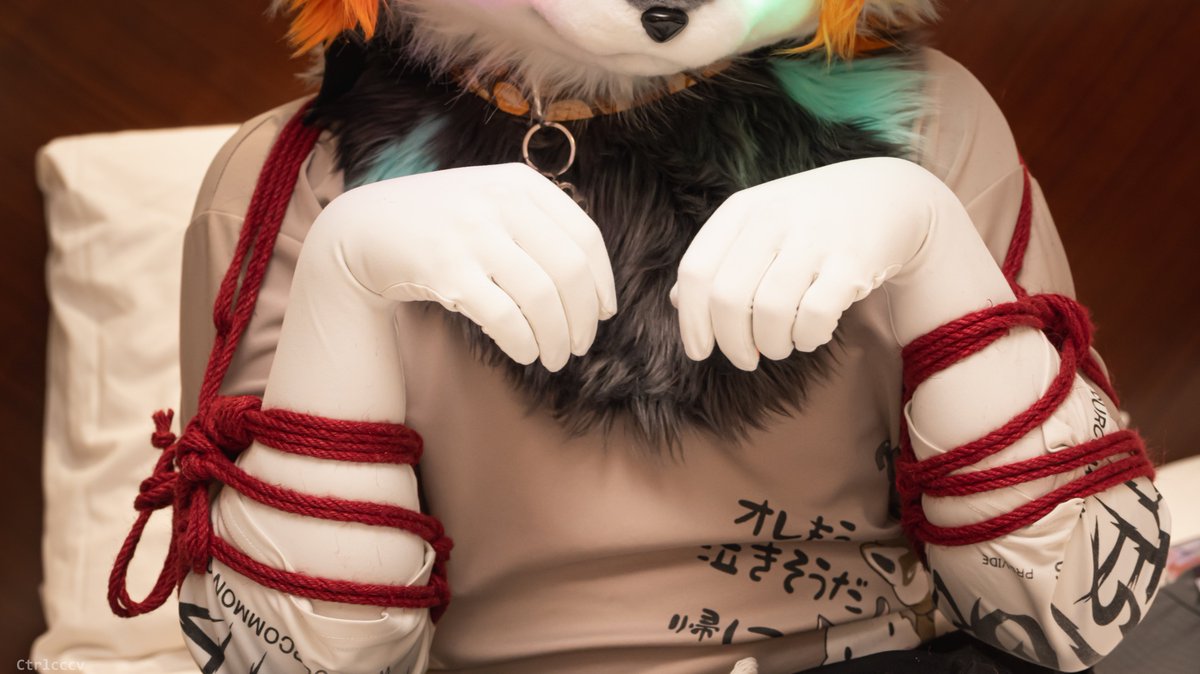 Ctrlcccv1's tweet photo. 绳美积累

🪢@Sleeeeep_404
🐱@til869363526116 https://t.co/hgaI6mR7nb