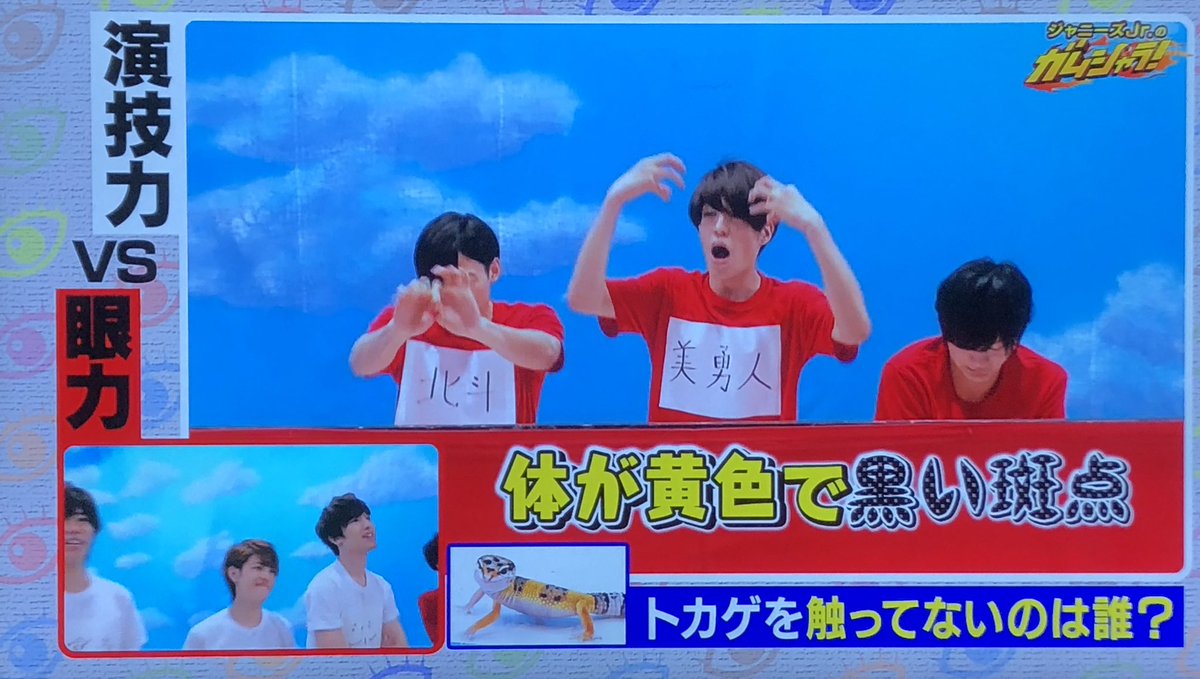 参考】自担しか持ってないので元メンだけど