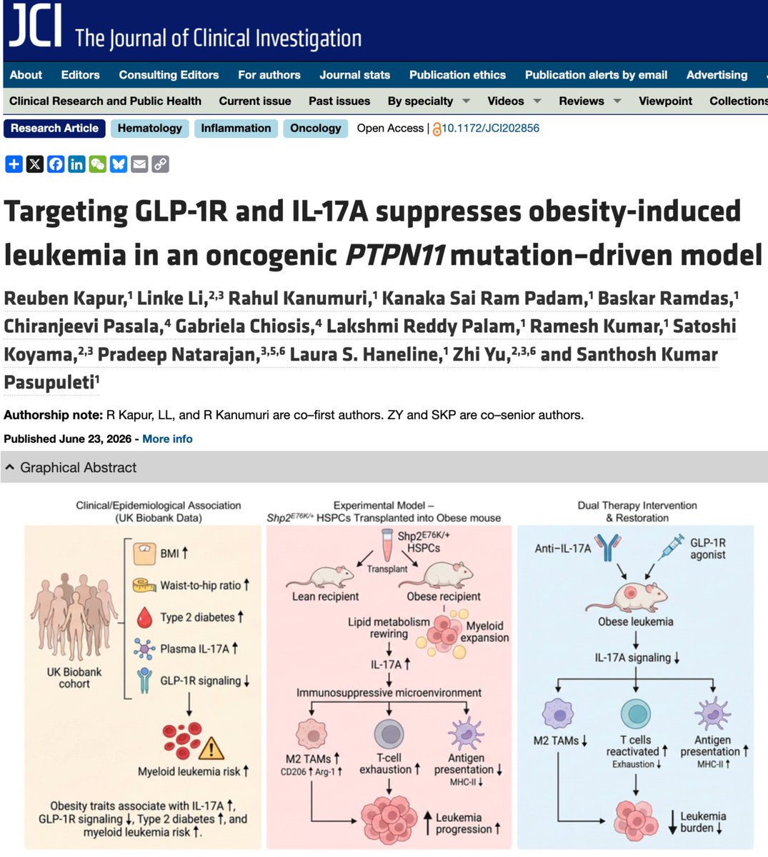 ZhiYu_ACGT's tweet photo. 🎉Excited to share our new paper in @jclinicalinvest, co-led by the Kapur lab and @LinkeLi_MGH, and co-senior with @santhu_131!

How does obesity accelerate PTPN11-driven myeloid leukemia - and can we intervene?

🧬 In human, obesity traits tracked with elevated plasma IL-17A, reduced GLP-1R, and heightened myeloid leukemia risk.
🐁 In mice, obesity accelerated leukemogenesis via Th17/IL-17A & M2 TAMs, and dual anti–IL-17A + GLP-1R agonist 💊 reverse it.

Together, we demonstrated a tractable strategy for high-risk obese patients with PTPN11 mutations: https://t.co/2Lmp8sPV1z