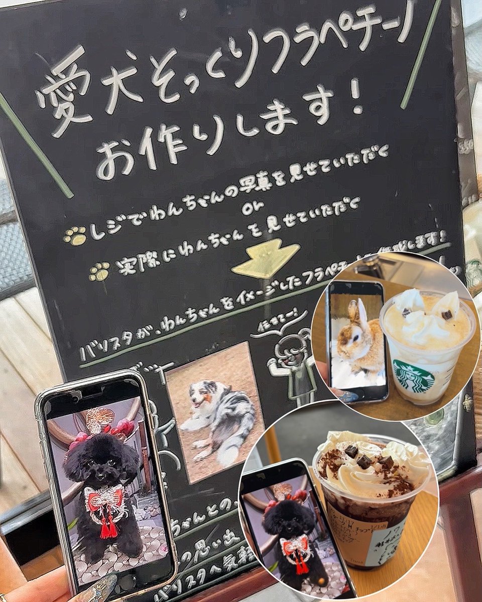 軽井沢・プリンスショッピングプラザ公式 (@KARUIZAWAPSP) / Posts / X