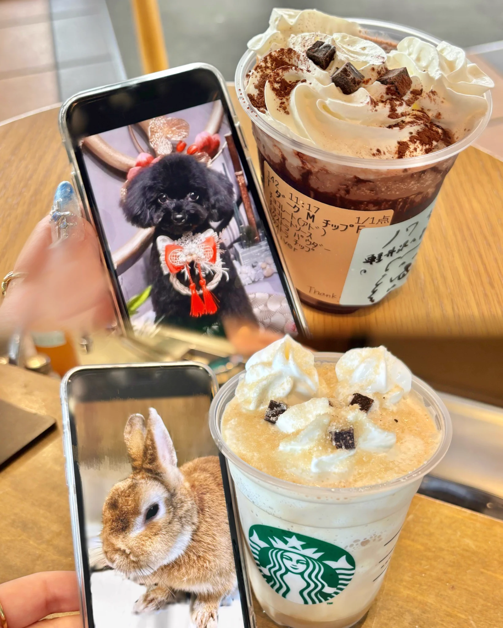 軽井沢・プリンスショッピングプラザ公式 on X: 