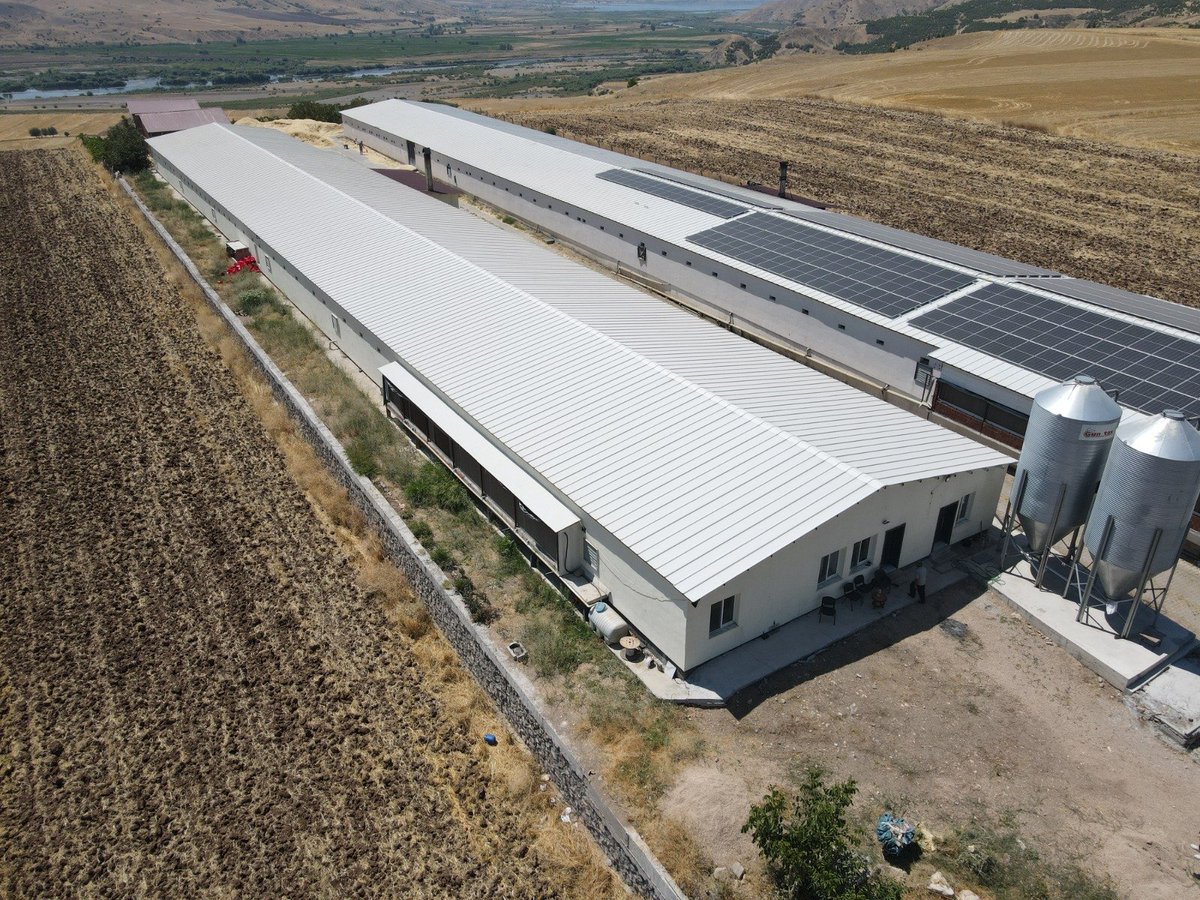elazig_tarim's tweet photo. 4,9 Milyon TL Hibe, 312 Bin Piliçlik Üretim Hedefi!

Kovancılar Pınartepe Mahallesi’nde KKYDP kapsamında tamamlanan yatırımla kanatlı üretim kapasitesi 28 binden 52 bin adet/döneme çıkarıldı.
4.997.750 TL hibe desteği sağlanan projeyle yıllık 312 bin piliç üretimi hedefleniyor. https://t.co/Y0zhhvJOL6