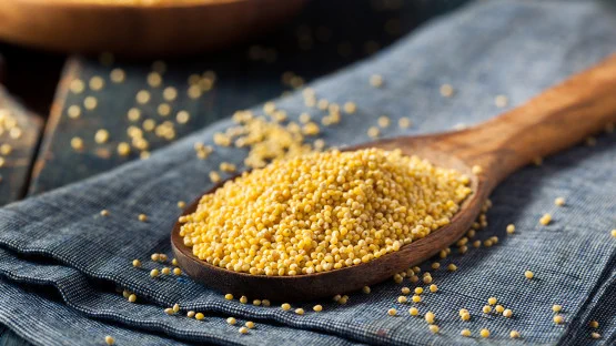 A wooden spoon filled with uncooked millet grains rests on a folded blue cloth, with some grains scattered around.
