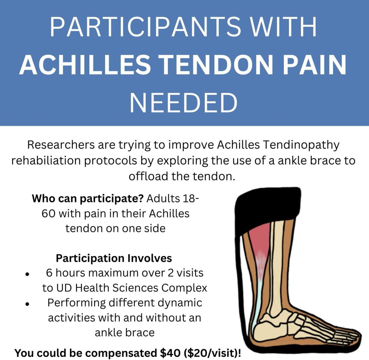 UD_CHRC's tweet photo. Researchers are trying to improve Achilles Tendinopathy rehabilitation protocols by exploring the use of an ankle brace to offload the tendon.
Who can participate? Adults 18-60 with pain in their Achilles tendon on one side.
Check the comments for details! https://t.co/IvGtNv6Efy
