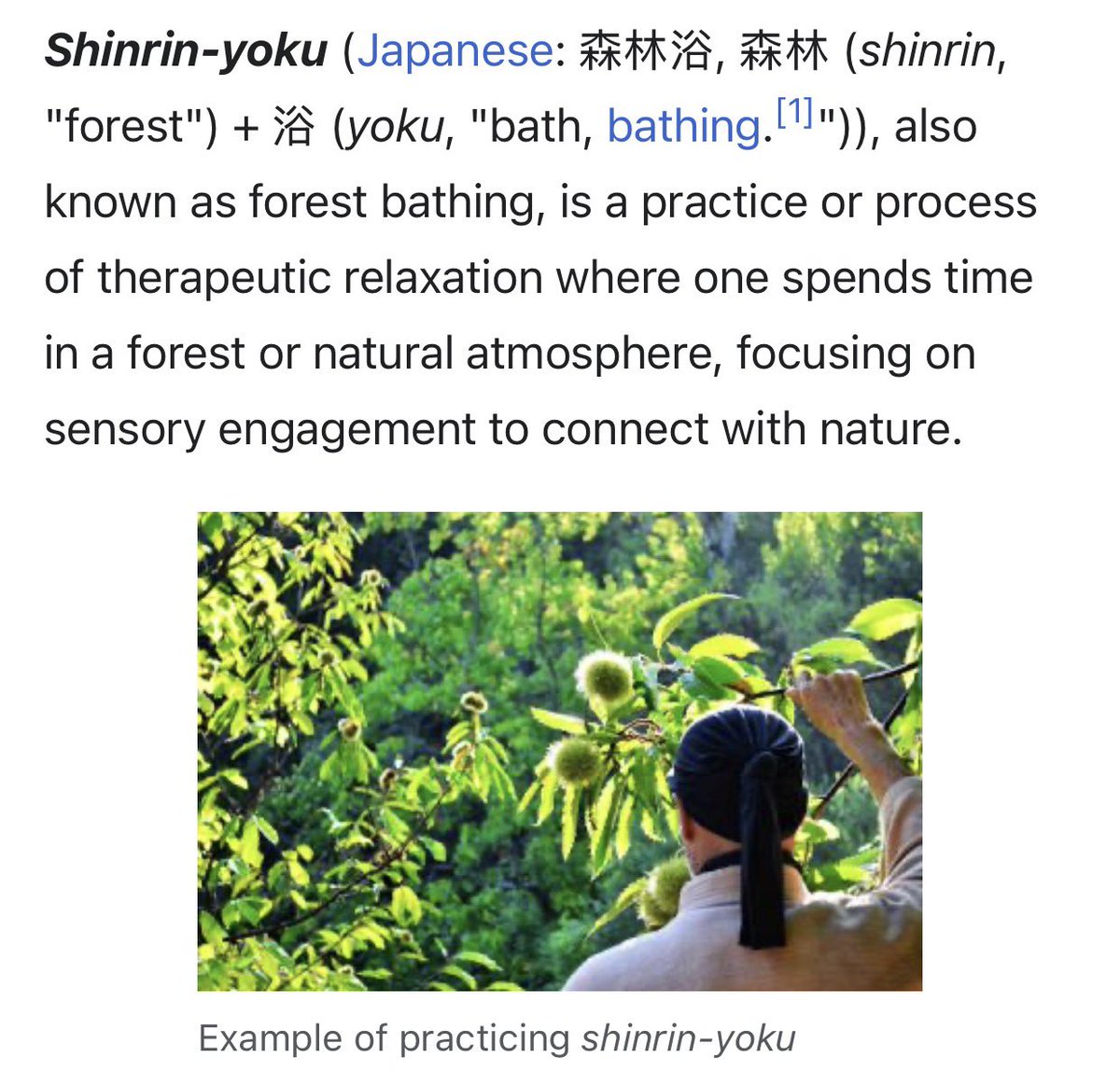 TrungTPhan's tweet photo. Shinrin-yoku (aka “forest bathing”) is one of my fave Wikipedia entries https://t.co/NWMeMSoU9X