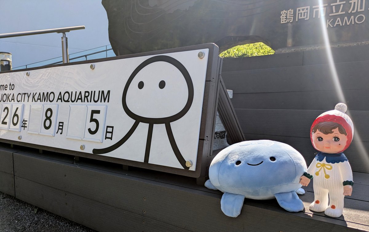 くらげのクッションがすごく可愛くて欲しかったんだけど普通に売って