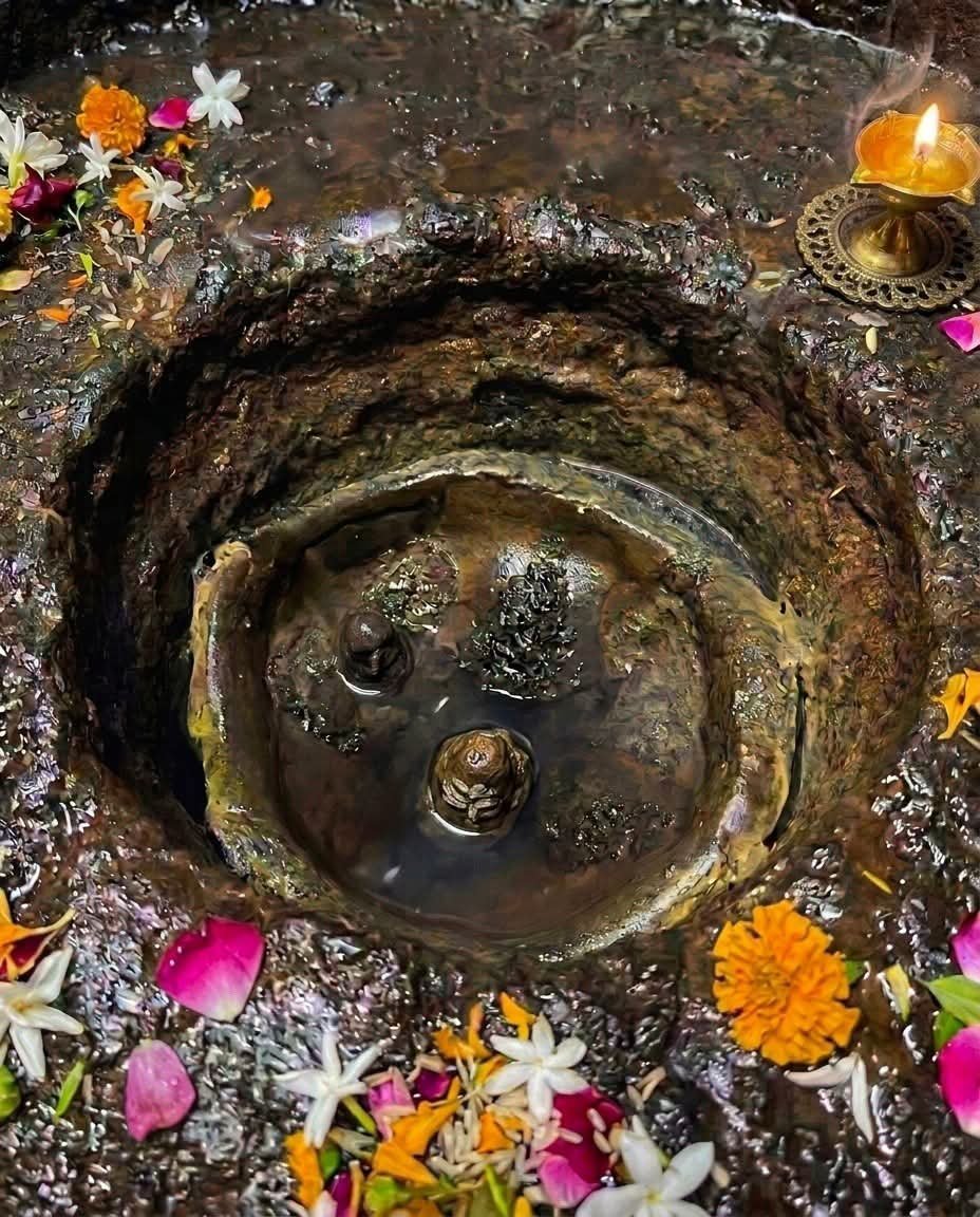 XGuruManoj's tweet photo. श्री त्र्यंबकेश्वर ज्योतिर्लिंग दिव्य दर्शन 🙏🌸 https://t.co/NZsrN8ijQq